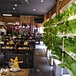 indoor hydroponic system
